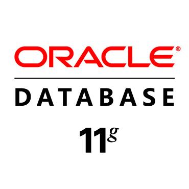 Vor- und Nachteile von Oracle Database