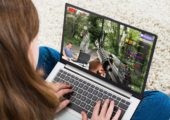 Browsergames mit Multiplayer: Diese Spiele bieten Spaß mit Freunden