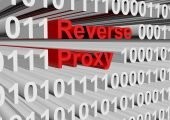 Reverse Proxy: Erklärung und Einsatzgebiete