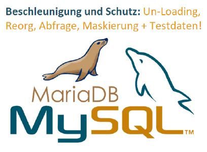 ❌ MySQL &amp; MariaDB ❌ Schnellere und sichere Datenbank dank bewährter Lösung für zeitaufwendige Probleme ❗