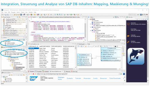 ❌ SAP DB-Inhalte ❌ Big Data Mapping und zusätzliche sichere Datenmaskierung mit Data Munging von SAP HANA-Daten ❗